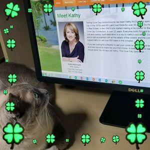 Meet your Posher, Kathy